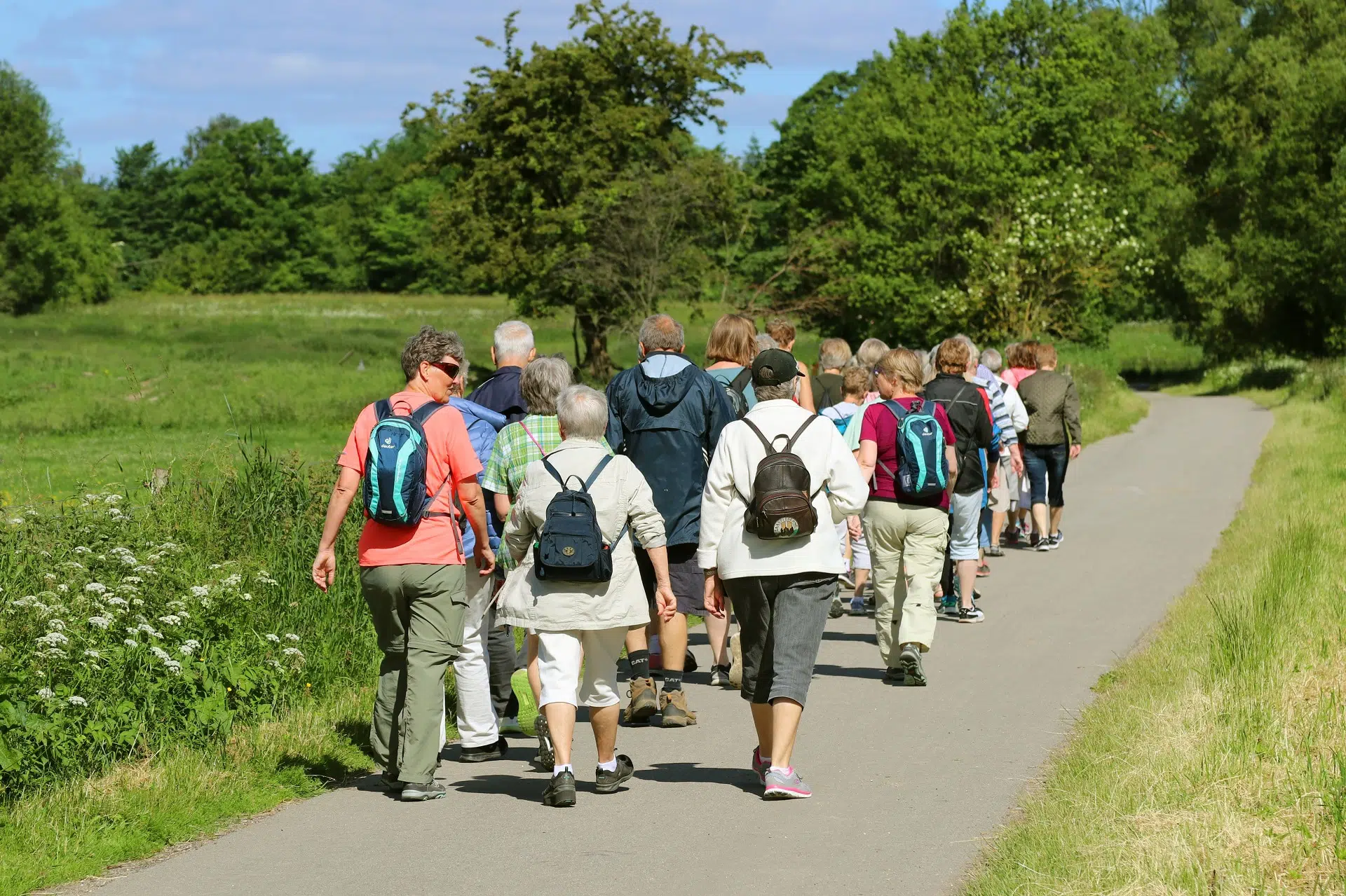 Groupe de personne marchant sur un sentier dans un parc