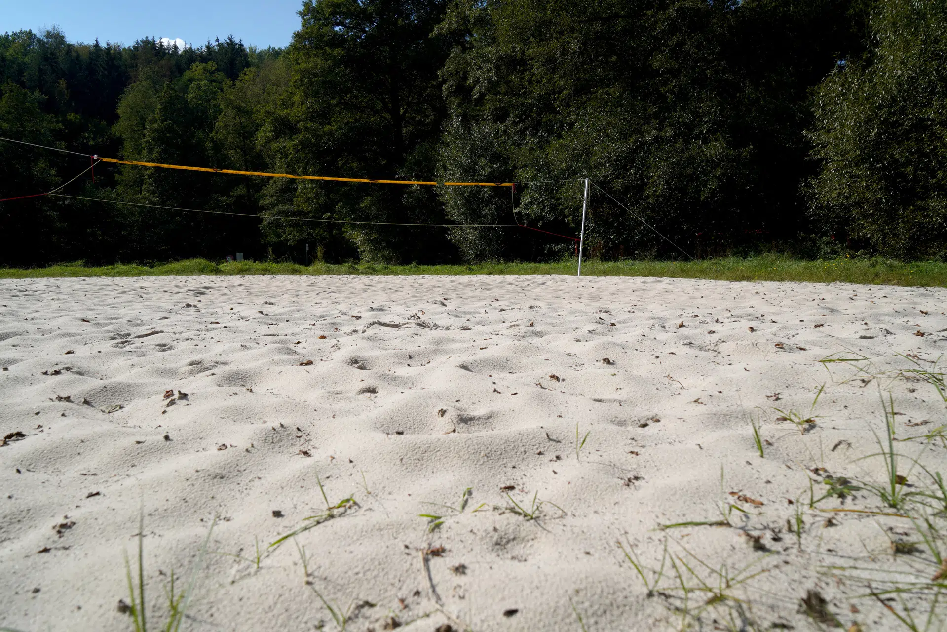 Terrain de volleyball sur sable près d'une forêt