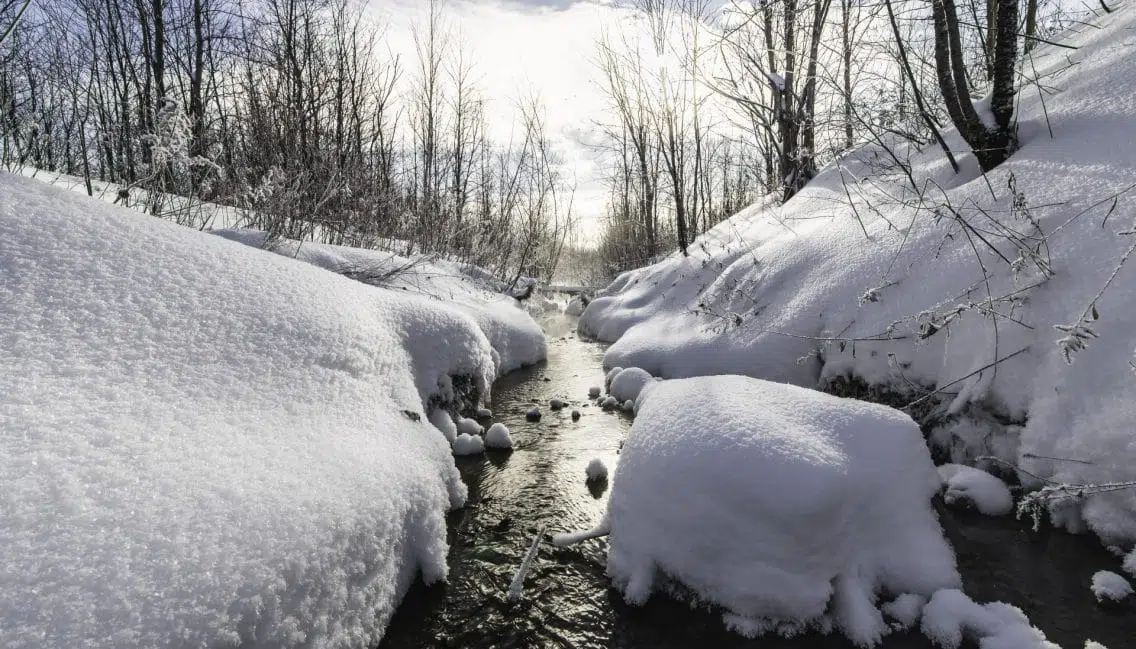 Ruisseau en hiver dans le boisé Du Tremblay.