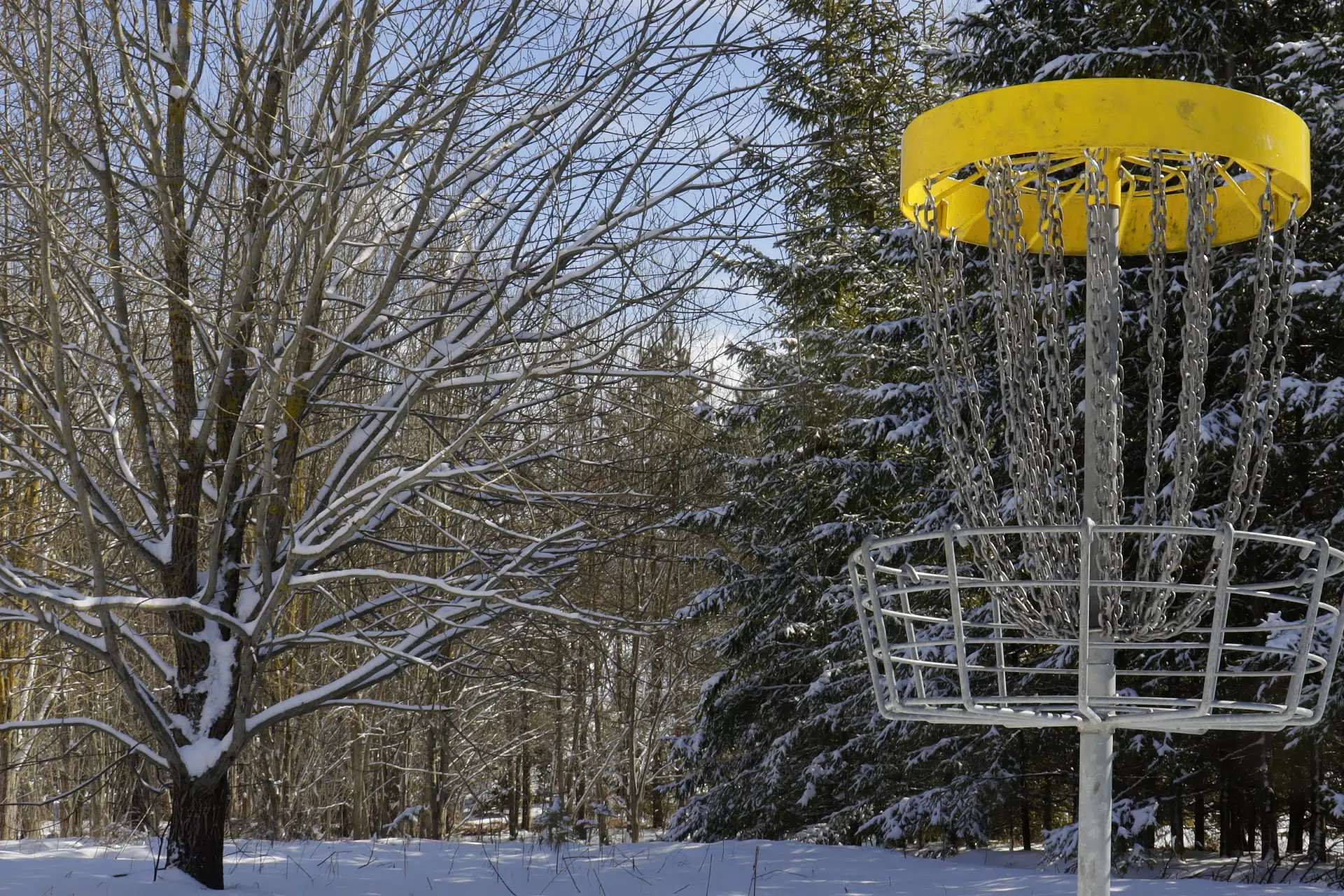 Panier de disque-golf sur un terrain boisée en hiver