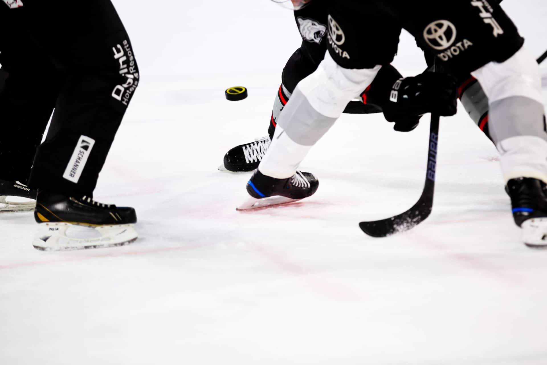 jambes de joueurs d'hockey et d'un arbitre sur la glace