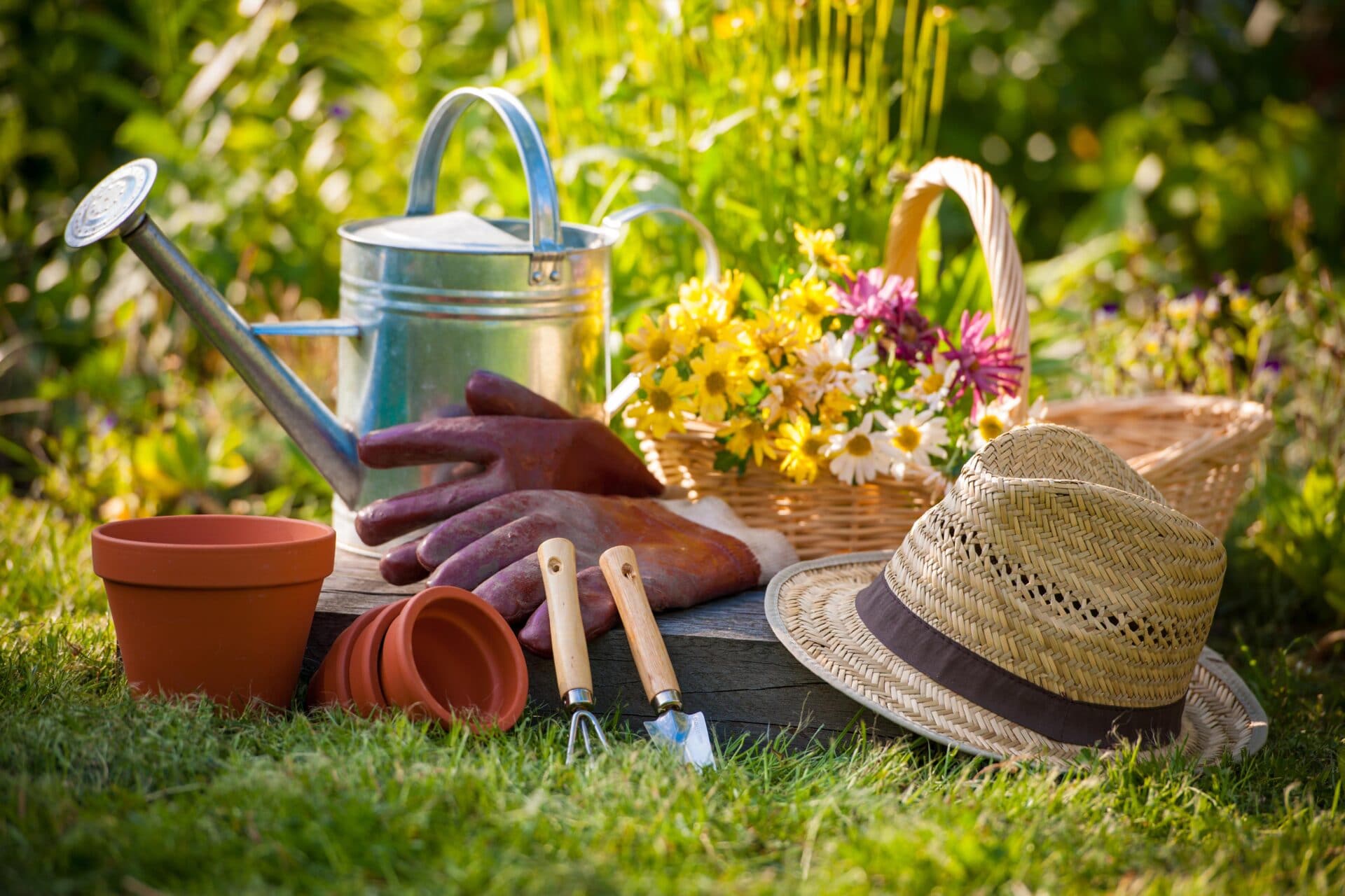 Outils de jardnage sur la pelouse: pelle, pots, chapeau,arrosoir et panier contenant des fleurs