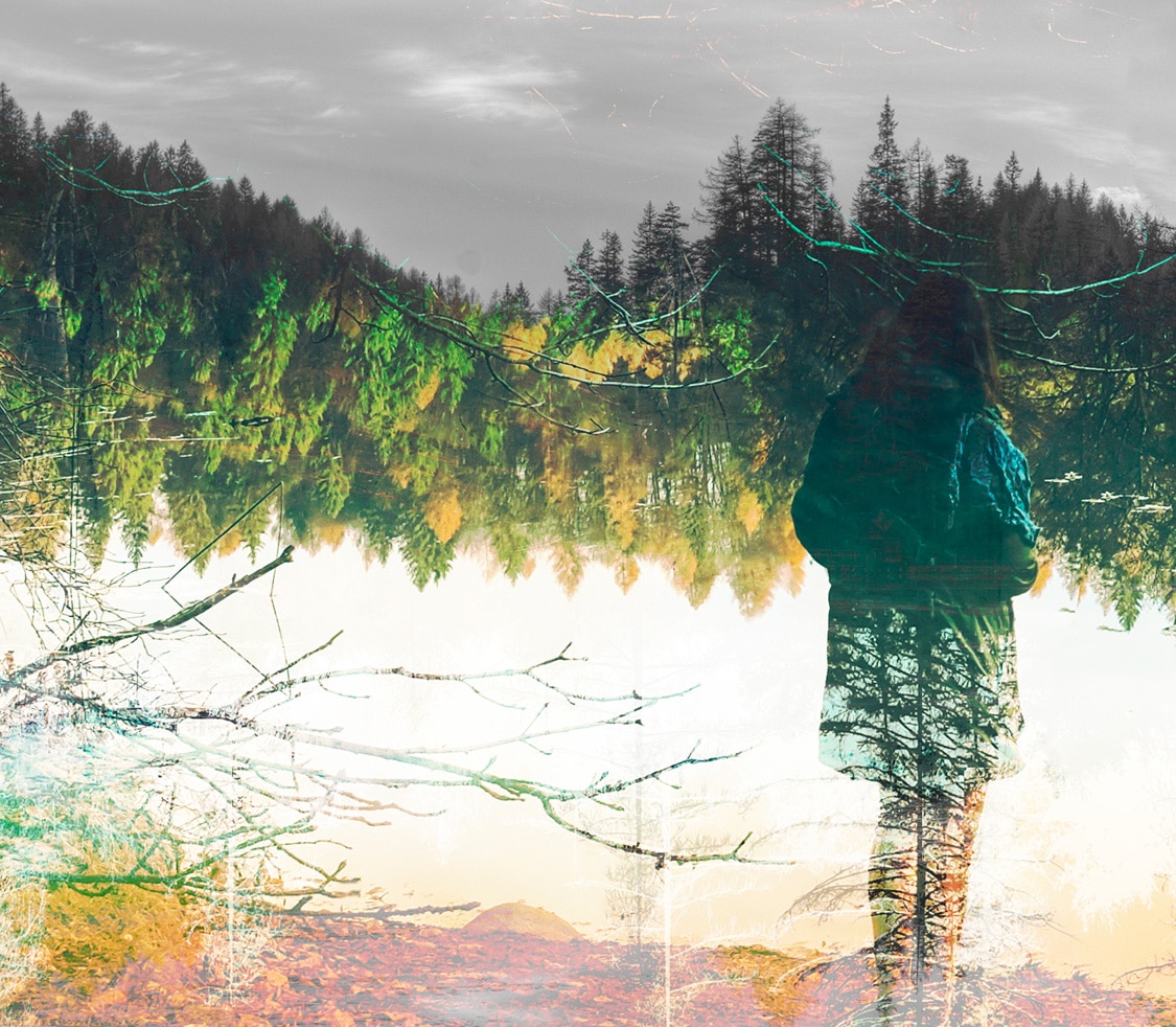 Silhouette d'une femme devant une forêt éloignée