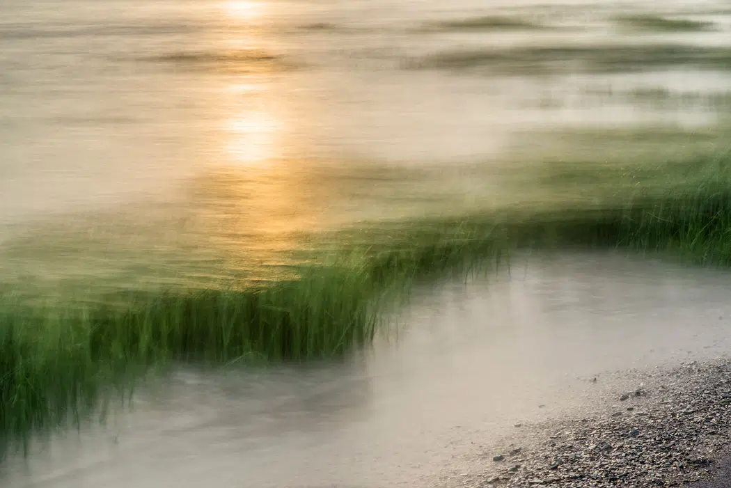 rive d'un cours d'eau avec les rayons du soleil qui reflètent sur l'eau