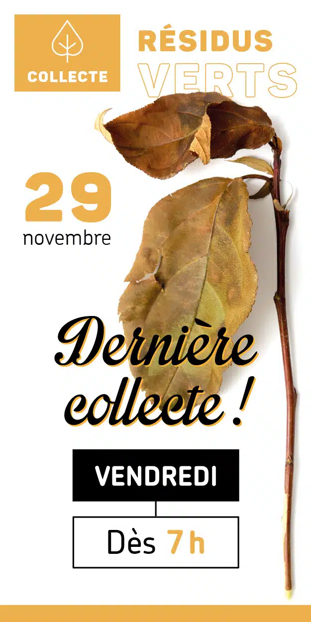 Visuel de la dernière collecte de résidus verts qui aura lieu le 29 novembre. On y voit une feuille d'arbre sur un fond blanc et des teintes de jaune-orangé.