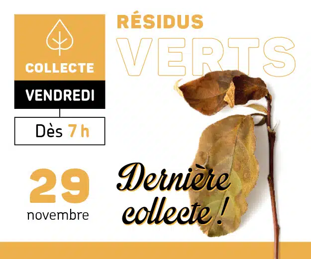 Visuel de la dernière collecte de résidus verts qui aura lieu le 29 novembre. On y voit une feuille d'arbre sur un fond blanc et des teintes de jaune-orangé.